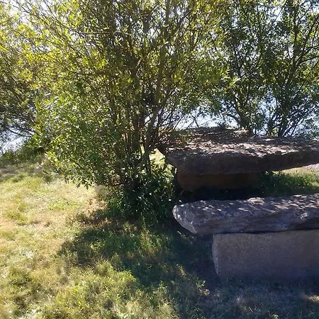 Oda ve Kahvaltı Sea Durrus