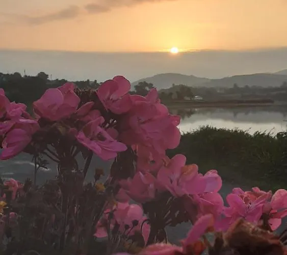 Sea Bed & Breakfast 4*