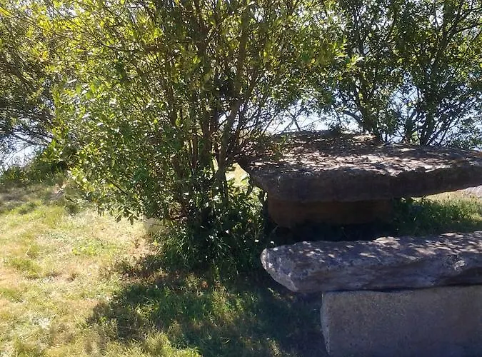 Bed & Breakfast Sea Durrus